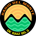 (c) Radiodelmonte.com.ar