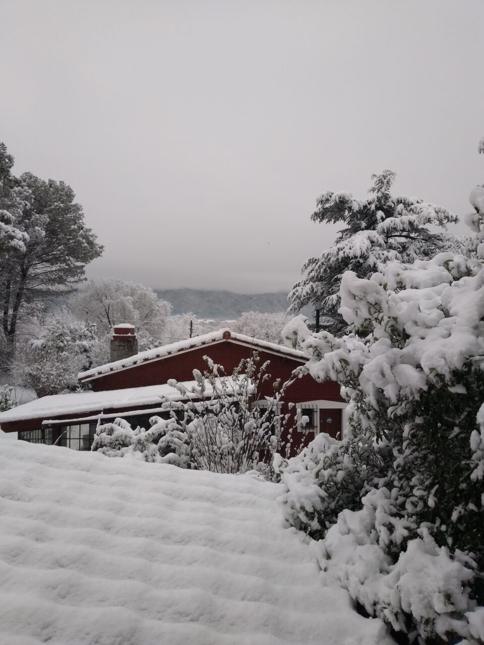 La nevada puso feliz a la gente