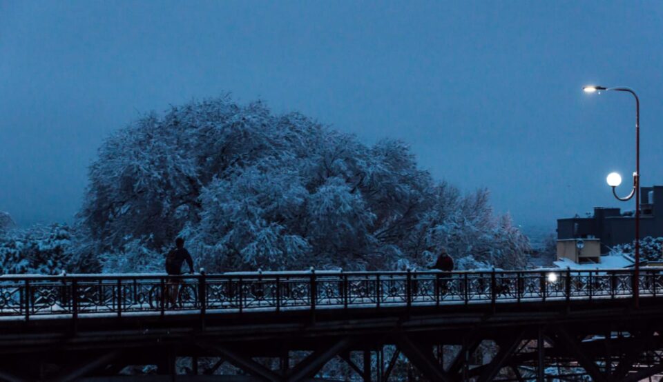 La nevada puso feliz a la gente